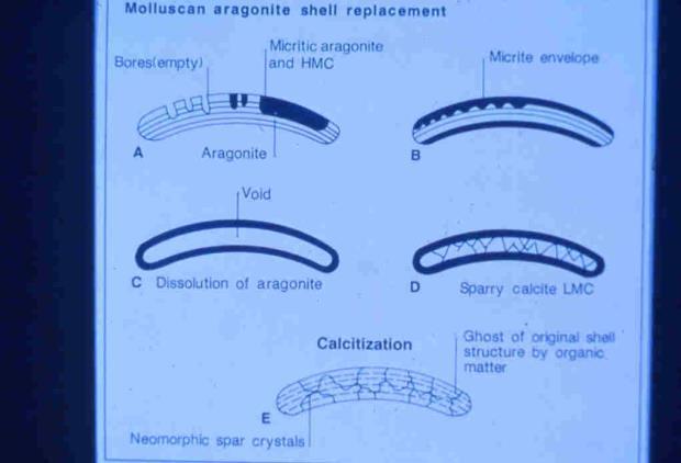 Bioclasti e ooidi composti originariamente da aragonite sono ora (fossili) soprattutto costituiti da sparite a drusa sono il prodotto della dissoluzione di aragonite e successiva precipitazione di