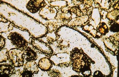 !! da non confondere) come risultato del passaggio nei pori di fluidi sottosaturi rispetto alla fase carbonatica presente.