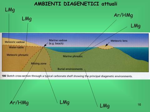Ci sono due tipi di diagenesi: precoce e tardiva (o profonda): la precoce interviene nei primi metri, massimo 50m, e si esplica con un cemento precoce, che si attacca ai singoli grani del sedimento.