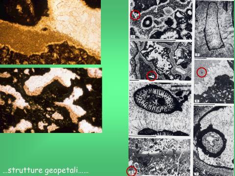 3. La sedimentazione interna in genere viene dopo della precipitazione di cementi a drusa o fibrosi 4. Il silt vadoso in genere è ricoperto da cemento a blocchi 5.