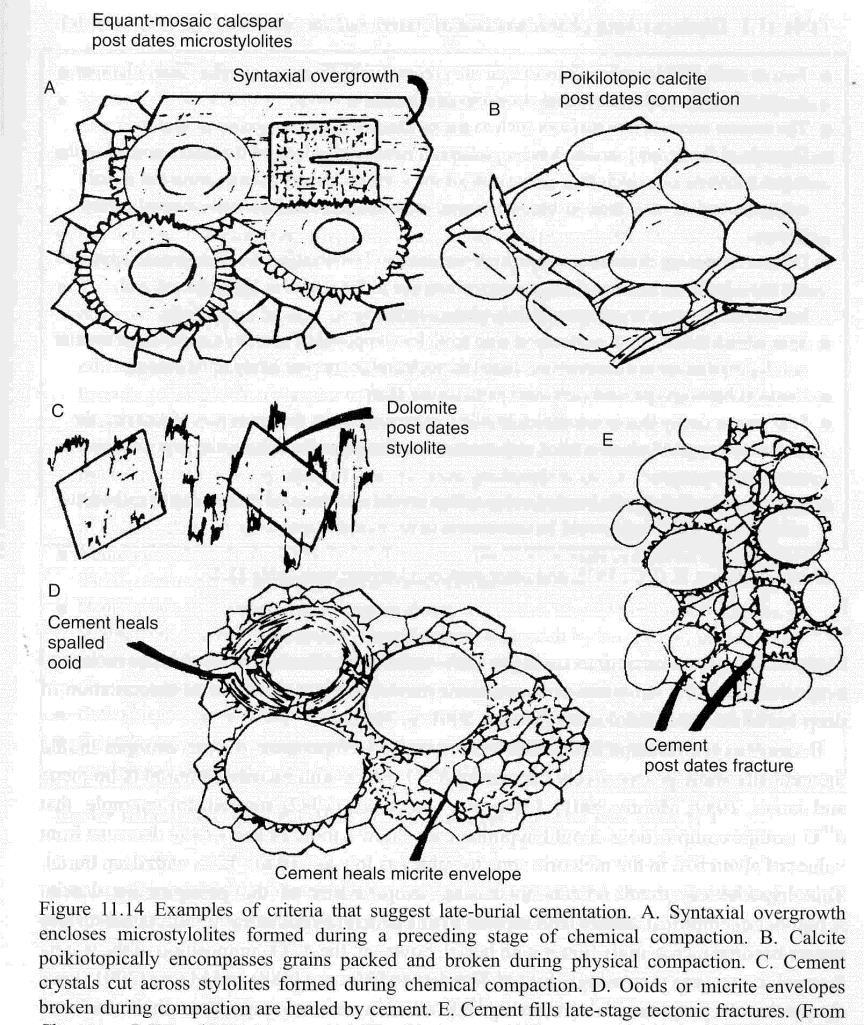 Nella figura a lato: la calcite spatica a drusa è un tipico cemento di riempimento dei pori con incremento di dimensioni dei cristalli verso il centro della cavità.