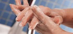SEMPRE le mani t i i ) Attrezzature pulite