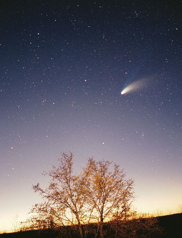 La cometa Hale-Bopp Nel 1997 si è potuta osservare la cometa Hale- Bopp, una delle più spettacolari che siano mai state viste.