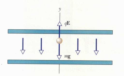 Caica puntifome in un campo elettico 9 P caica campo caica ˆ P Moto ella caica F ma F (legge el moto) P Moto i una caica in un campo unifome F mg ma mg mg ma