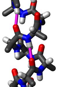 Gly II Collagen