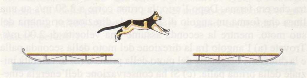 Nel momento in cui il gatto spicca il salto dalla prima slitta, (1 punto) a) Né il gatto, né la slitta esercitano alcuna forza; b) Il gatto esercita una forza sulla slitta, ma la slitta non esercita