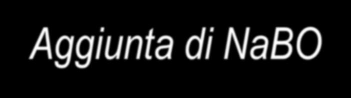 Aggiunta di NaBO 3 ad una soluzione Analizziamo ora l effetto che si ottiene se si pone in soluzione il sale NaBO 3 NaBO 3 Na + BO 3