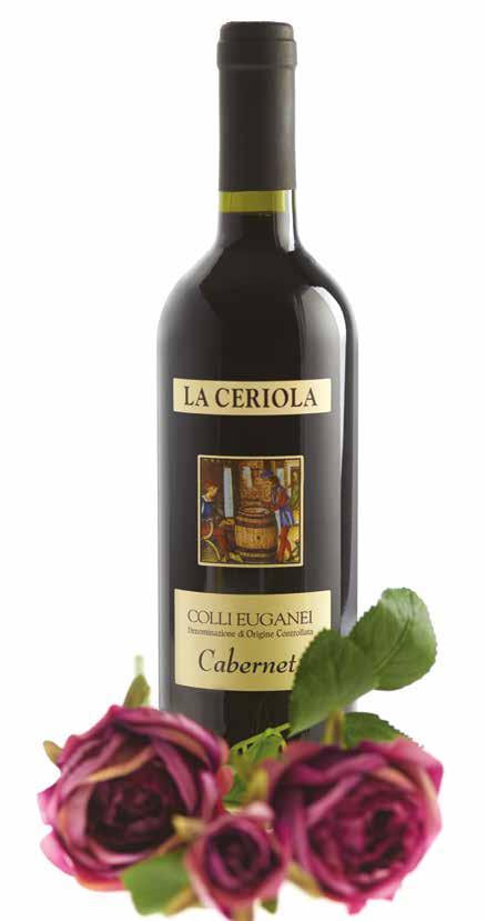 Cabernet Doc Il vino si presenta con note di frutta a bacca nera come mirtilli e visciola; intensa la sensazione di prugna matura, accompagnata a note di pepe e liquirizia che ne addolciscono il naso.