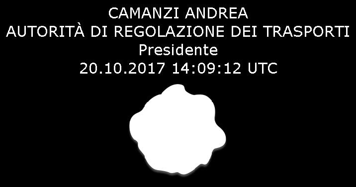 nei capitolati delle medesime gare, è ampliato al fine di estenderne i contenuti alla definizione degli aspetti regolatori, in materia di affidamento dei servizi di trasporto pubblico locale e