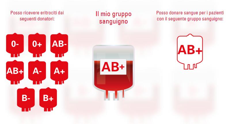 i Quaderno di lavoro «Il sangue» Secondario II A chi è utile il tuo gruppo sanguigno e chi potrebbe aiutarti?