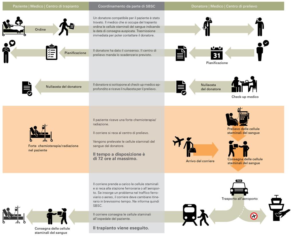 Dal donatore al ricevente È stato trovato il donatore compatibile. A questo punto si tratta di far sì che le cellule staminali del sangue giungano al paziente quando questi è pronto per il trapianto.