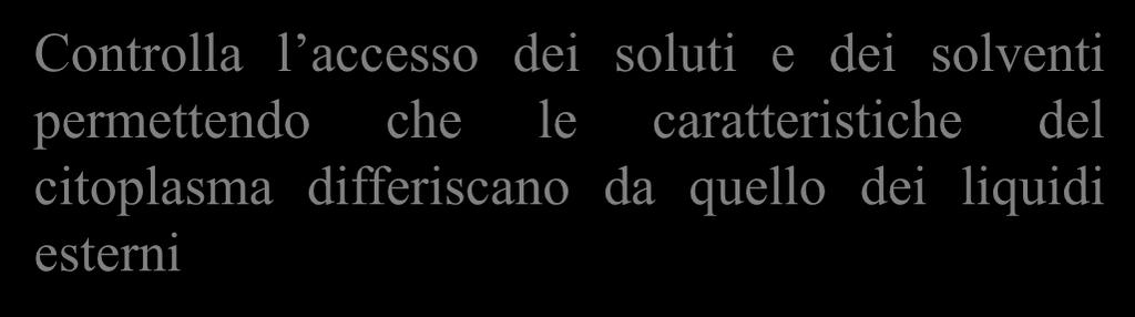 Funzioni La membrana della membrana plasmatica plasmatica Delimita il citoplasma formando una barriera meccanica Controlla l accesso dei