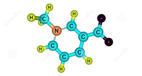 TRIGONELLINA 0.3 0.2 0.2 0.1 0.