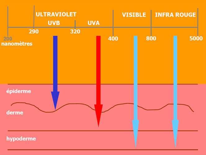 Cos è la radiazione solare UV Ognuno è esposto a Radiazione UV solare e altre sorgenti artificiali.