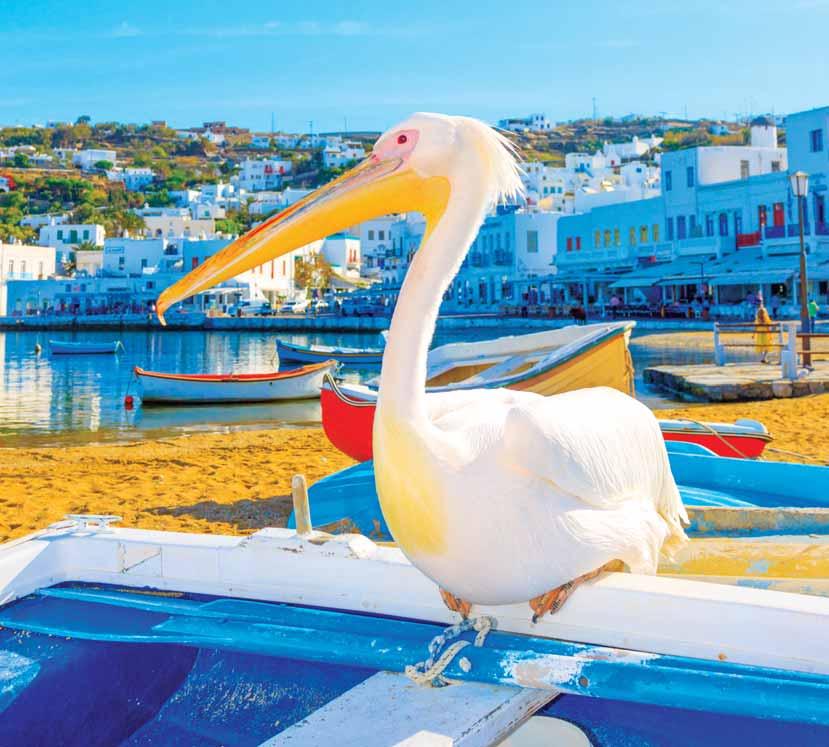 Mikonos Mali otok s velikom dozom glamura Mikonos se smatra svijetom glamura, kontrasta i boja,