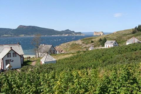 Si suggerisce una sosta al Gaspésie Biopark, centro d osservazione e interpretazione degli orsi neri: ospita circa una ventina d animali di specie locale, ed una settantina di piante di varietà