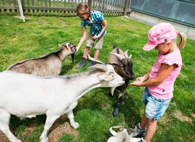 PARCHI GIOCHI E MINI ZOO PARCHI GIOCHI E MINI ZOO Per i piccini nulla è più divertente dei due parchi giochi e del mini zoo.