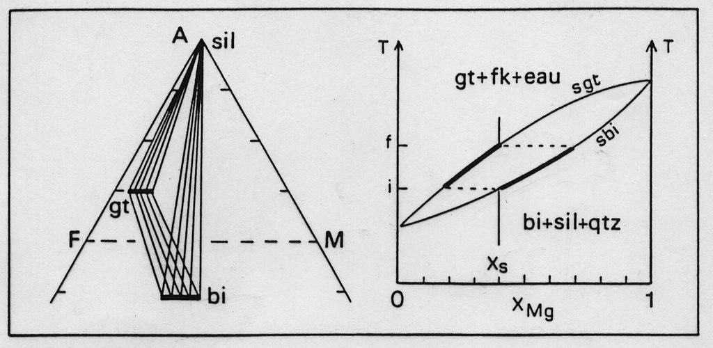 Reazioni metamorfiche Reazioni continue (sliding reactions)* (V>1) Nei diagrammi di fase che contengono minerali soluzioni solide al variare delle condizioni P-T, varia l'orientazione delle tie-lines