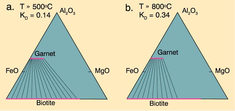 (iii) Reazioni di scambio ionico Reazioni solido-solido Scambio di componenti tra minerali coesistenti senza modificare le quantità modali delle fasi esempio: scambio Fe-Mg