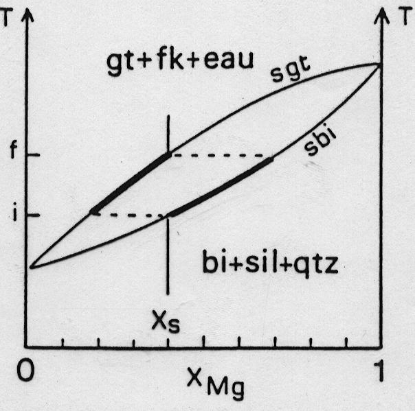 Reazioni net-transfer continue Reazioni metamorfiche Chl+Qtz = Grt+H 2 0 Bt+Sill+Qtz = Grt+ Kf+H 2 0 reazioni continue