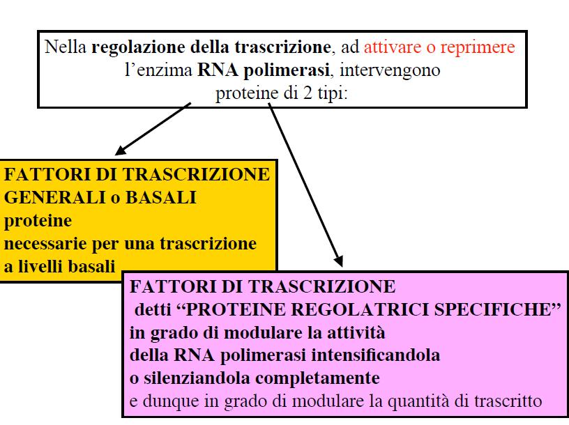 Biologia