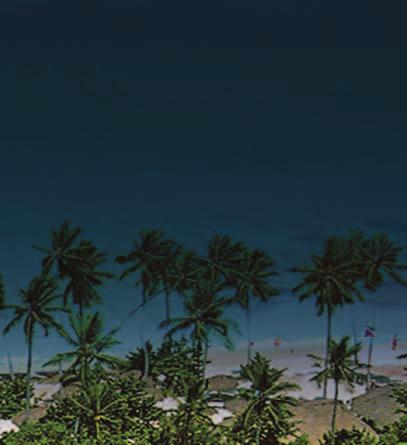Un paradiso nel Mar dei Caraibi fatto di palme, sabbia bianca e mare turchese.