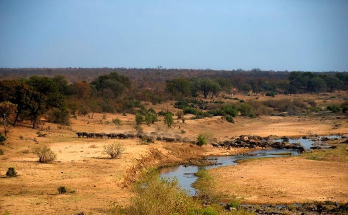 CLIMA Il clima della savana è caratterizzato da due stagioni della durata di