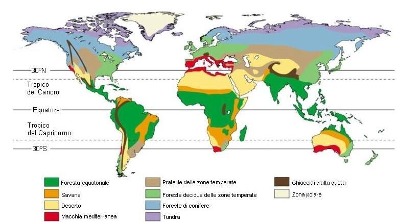 DISTRIBUZIONE GEOGRAFICA La foresta pluviale equatoriale si trova in