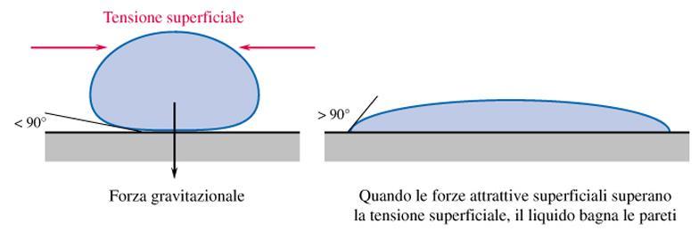 Interazione liquido-solido: superfici bagnabili (Wetting) Il comportamento di un liquido in contatto con un solido dipende dalle interazioni: molecola-molecola (forze di coesione) e