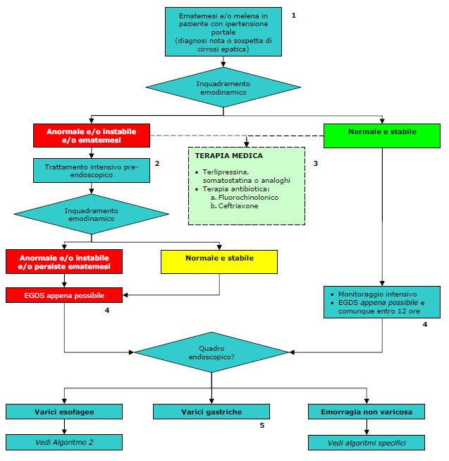 ALGORITMI Emorragie Non-Varicose Emorragie Varicose Emorragia digestiva superiore non varicosa Stratificazione del rischio (Score di Blatchford) Blatchford score 3 Blatchford score 2 Emodinamicamente