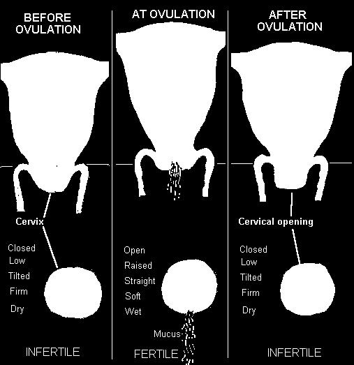 Pag. 18