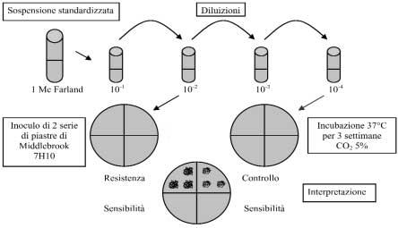 Riv Med Lab - JLM, Vol. 2, S.1, 2001 127 Tabella I. Farmaci antitubercolari e loro concentrazioni nei diversi terreni.