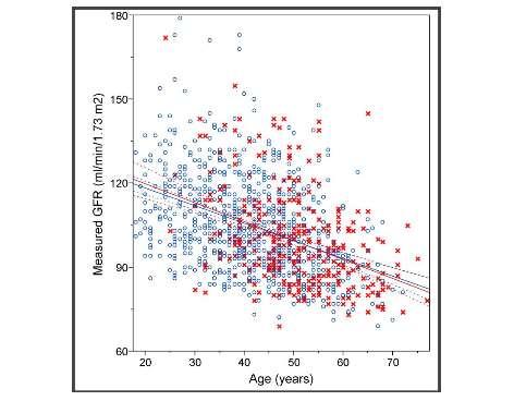 The association between age and nephrosclerosis on renal biopsy among health adults. AD Rule et al. Ann.Int.Med.2010 Fig.