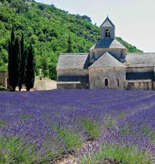 Vychutnáme si aj panoramatické výhľady na village perché (orlie hniezo) Gordes a fotogenické opátstvo Abbaye de Senanque. Presun na ubytovanie.