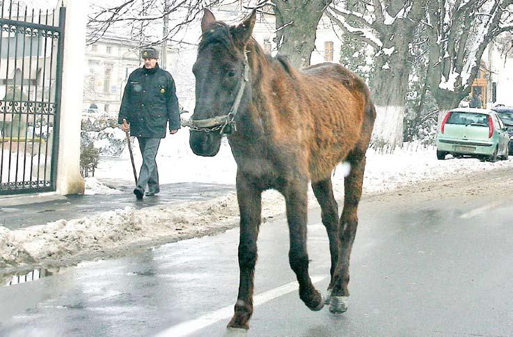 le ca pe creaţii proprii De exemplu, apariţia unui articol în Viaţa liberă despre Parcul Industrial gălăţean a avut astfel de ecouri.