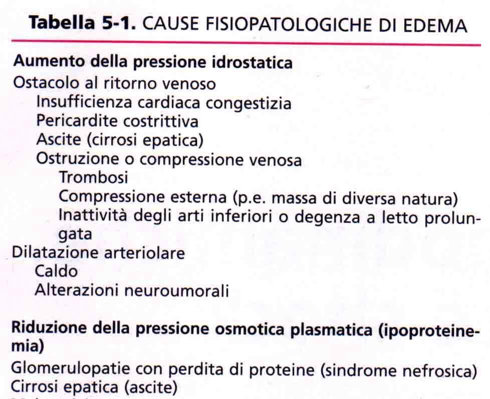 Il restante 10% viene drenato dai vasi linfatici per poi tornare nel circolo sanguigno.