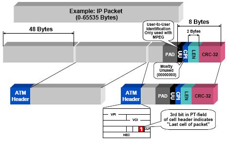 ATM AAL5 E lo strato di adattamento per la trasmissione dati a pacchetto Accetta pacchetti di lunghezza variabile da 1 a 65535 byte Introduce un trailer di 8 byte alla fine del