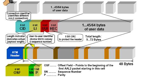 ATM AAL2 AAL 2 fornisce servizio di trasferimento di informazione con bit rate variabile.