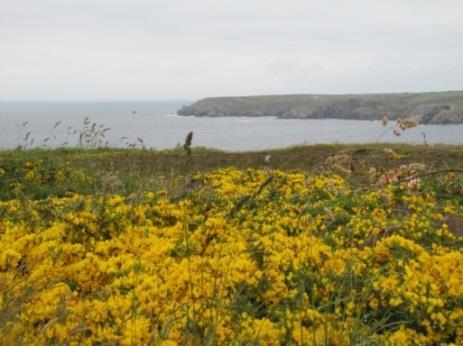 Proseguiamo e ci fermiamo ad Audierne bel Point du Raz porto sull estuario del fiume Le Goyen (ci fermiamo a 15 minuti dal centro lungo l estuario alle coord. N 48.026112 - O -4.