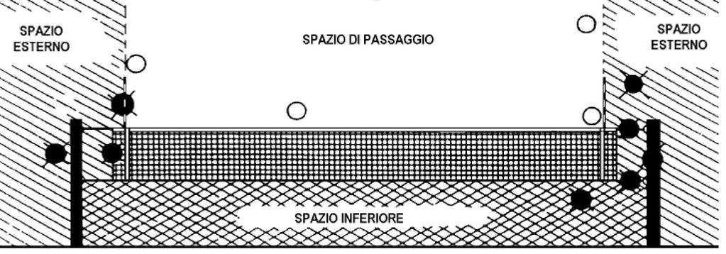 La palla è fuori quando attraversa completamente il piano inferiore della rete (Figura 2).