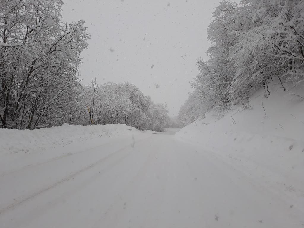 Figura 24. Foto della nevicata a Sestola. Fonte: Carabinieri Forestali. Rilievo del giorno 22/2.