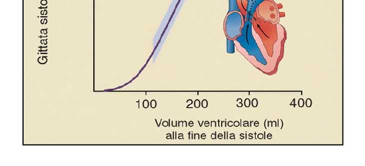 relazione Gittata sistolica e Volume