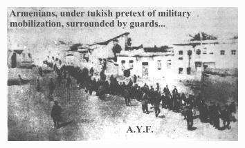 Il genocidio Allo scoppio della prima guerra mondiale molti armeni disertarono e si arruolarono con l esercito russo combattendo contro