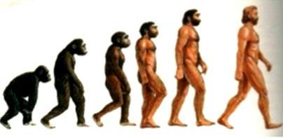 7- Evoluzione e adattamento EVOLUZIONE: mutamento di un intera specie vivente nel corso delle generazioni; consiste nel progressivo accumularsi di piccole modificazioni che determinano cambiamenti