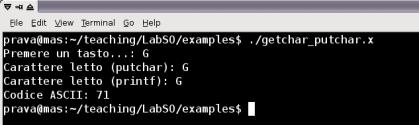 I/O formattato avanzato scanf %[*][max im][dimensione]<carattere> [*]: non fa effettuare l assegnazione (ad es.