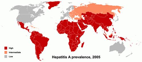 Endemicità dell epatite A nel mondo Centers