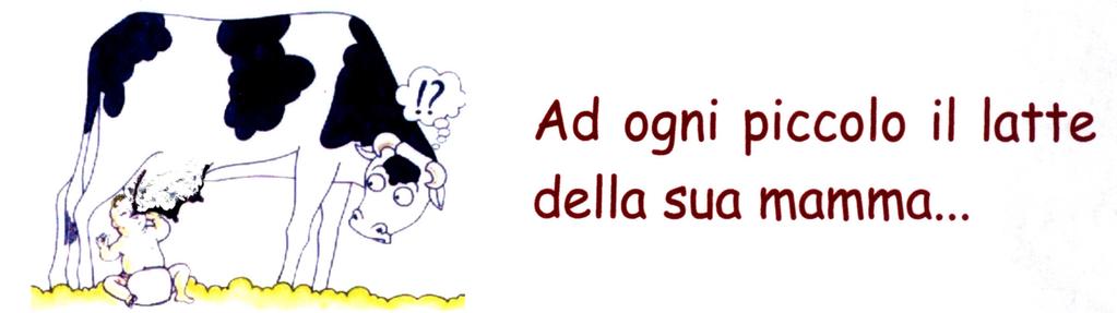 Un atleta olimpico per gareggiare con successo, ha bisogno di sostegno da parte della famiglia, degli amici, degli sponsor.