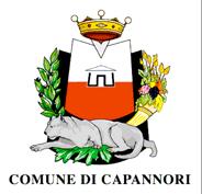 COMUNE DI CAPANNORI PROVINCIA DI LUCCA Piazza Aldo Moro, 1-55012 Capannori (LU) Italia (www.comune.capannori.lu.it) NORME PER L EDILIZIA SOSTENIBILE ALLEGATO n.