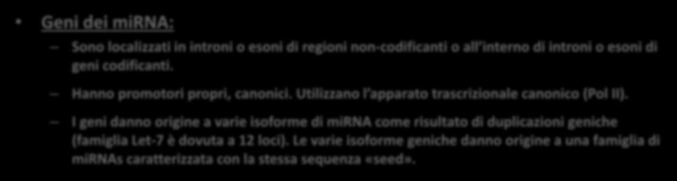 mirnas: Struttura genica Geni dei mirna: Sono localizzati in introni o esoni di regioni non-codificanti o all interno di introni o esoni di geni codificanti. Hanno promotori propri, canonici.