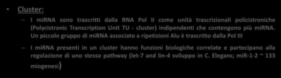 mirnas: Trascrizione genica Cluster: I mirna sono trascritti dalla RNA Pol II come unità trascrizionali policistroniche